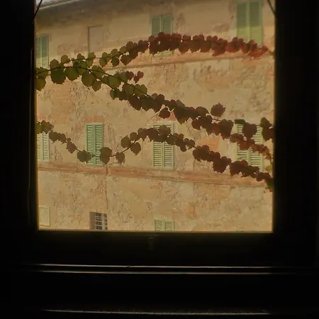 Bichi Borghesi