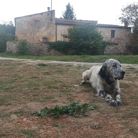 Bichi Borghesi *
