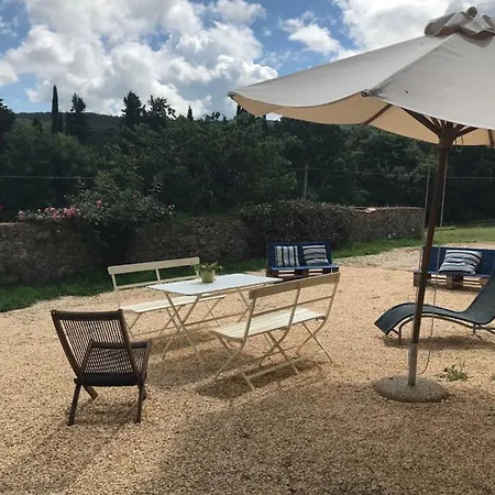 Bichi Borghesi
